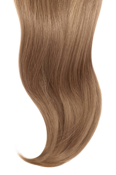 istock Curl of natural hair on a white background 920847508