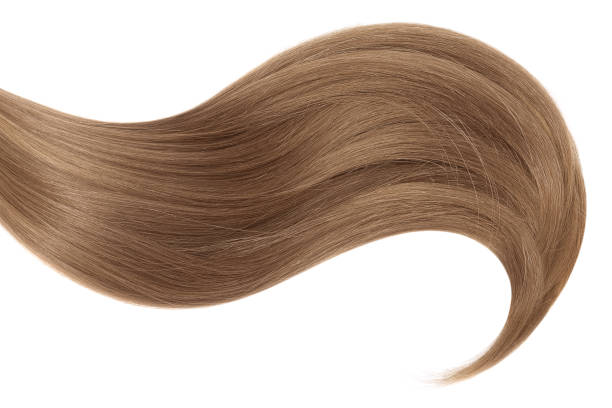 istock Curl of natural hair on a white background 920847510