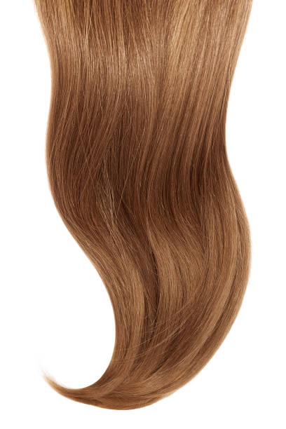 istock Curl of natural hair on a white background 920847520