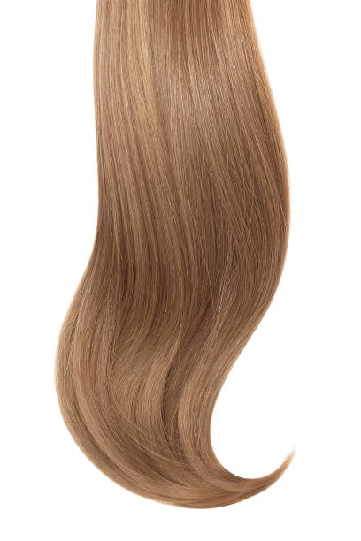 istock Curl of natural hair on a white background 920847528
