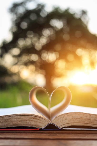 istock Close up book on table in sunset time 920857198