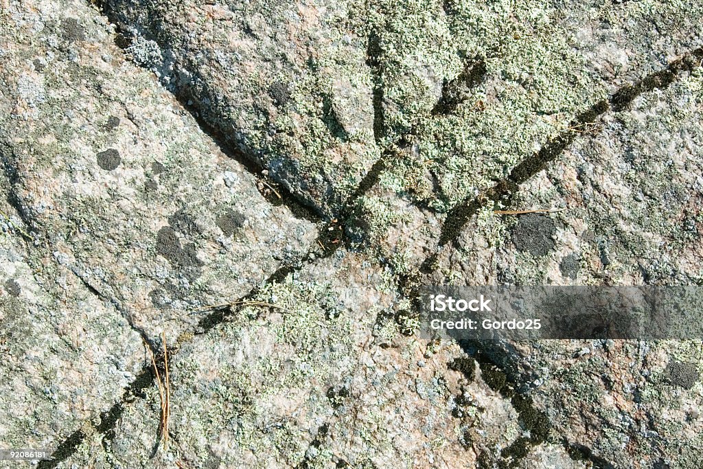 Boulder Texture Lichen Large rock face in northern ontario canada with lichen good for background texture. Abandoned Stock Photo