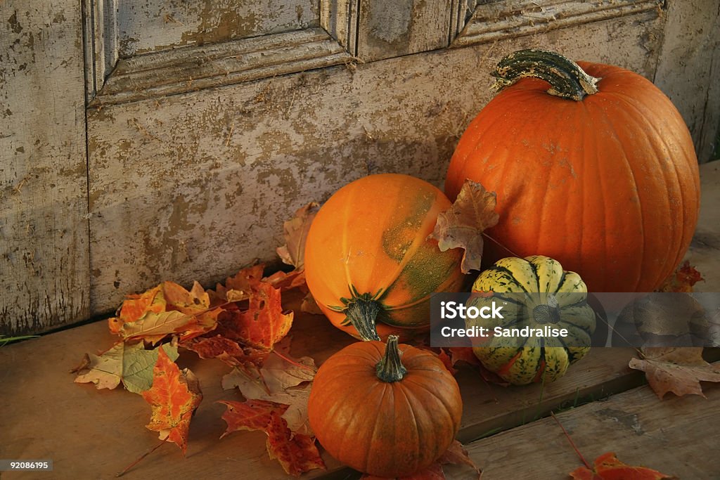 Pumpkins y gourds - Foto de stock de Aire libre libre de derechos