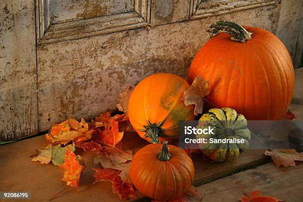 Dynia I Gourds - zdjęcia stockowe i więcej obrazów Bez ludzi - Bez ludzi, Czerwony, Dynia