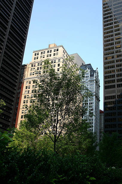 istock Downtown New York city 92086457