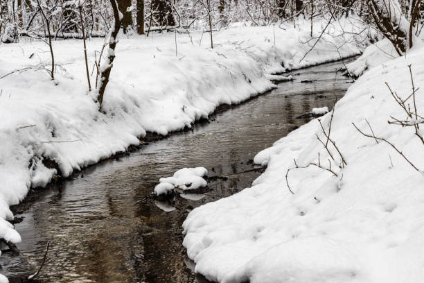 istock In the winter forest, the winter river runs. 920872964