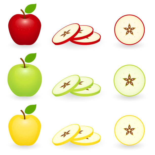 ilustraciones, imágenes clip art, dibujos animados e iconos de stock de rebanada de la manzana conjunto aislado - apple portion red freshness