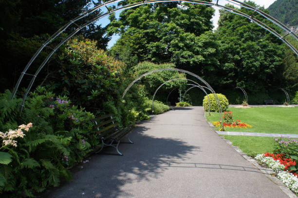 istock Park landscape with lawn, flowers and bench 920875710