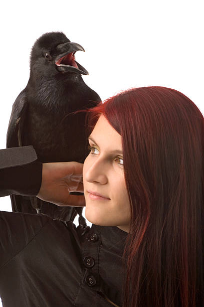 istock woman with black raven 92089288