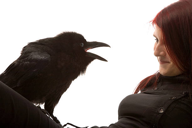 istock young woman with black raven 92089300