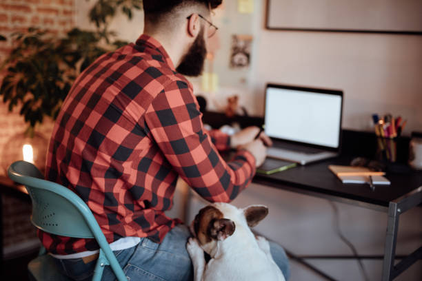 istock Freelancer working from home and playing with his dog 920902116