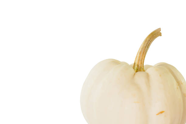 istock Little white pumpkin on white background 920902794