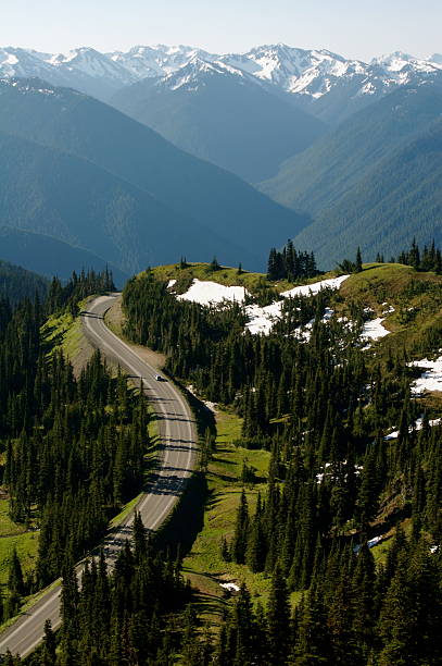 istock Road into Olympic National Park 92090436