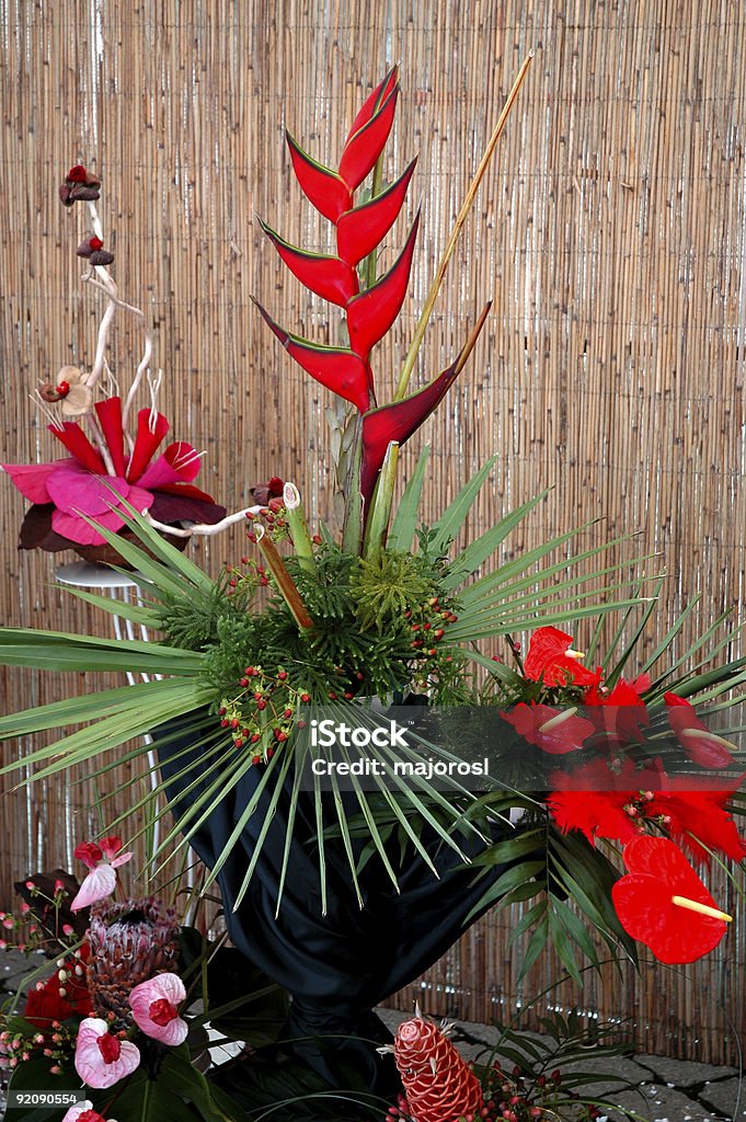 Composition florale - Photo de Arbre en fleurs libre de droits