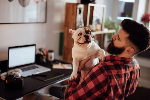 istock Bearded freelancer working from home while holding his cute dog 920905632