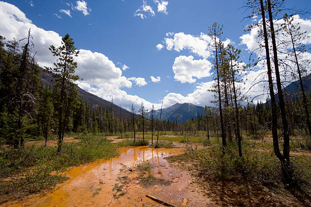 farby garnki w park narodowy kootenay - ktunaxa zdjęcia i obrazy z banku zdjęć