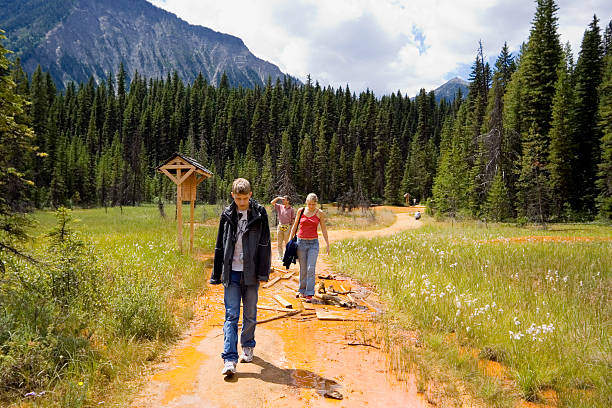 A mid adult man trekking in the Canadian Rockies in late summer.
