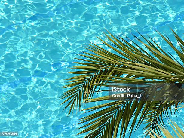Palm Und Dem Pool Stockfoto und mehr Bilder von Ast - Pflanzenbestandteil - Ast - Pflanzenbestandteil, Aufregung, Baum
