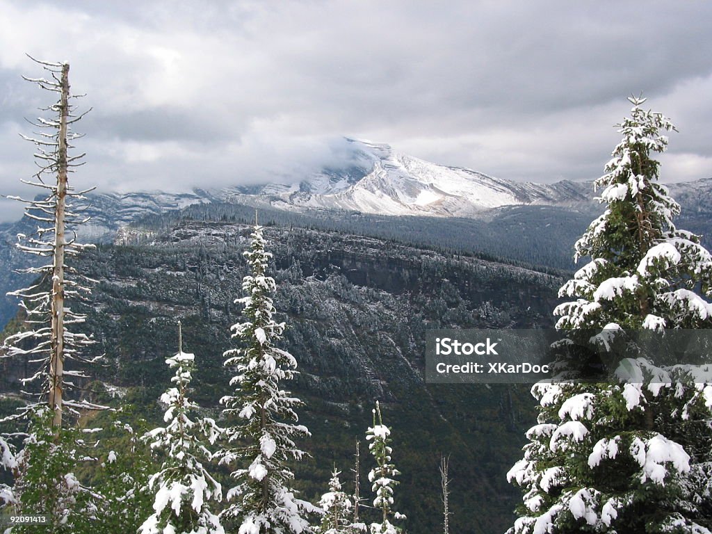 Montagna neve - Foto stock royalty-free di Albero