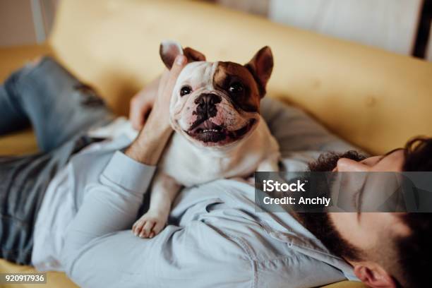 Man Embracing His Dog Stock Photo - Download Image Now - Dog, Pets, Men