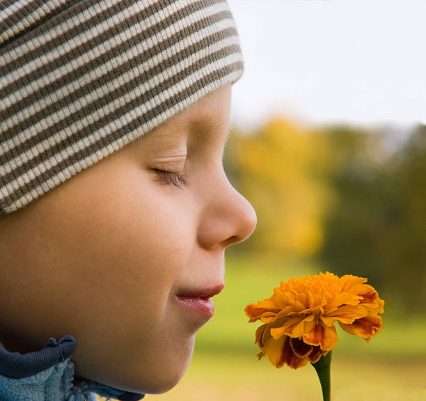 Boy smelling flower in autumn stock photo