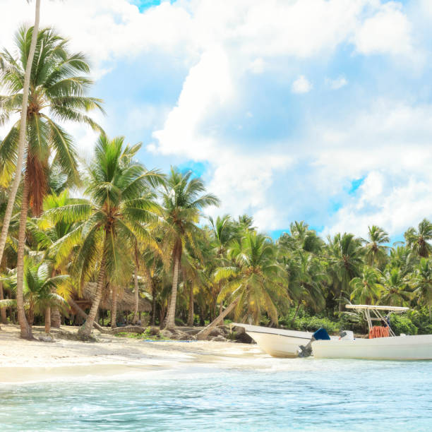 istock Vacation in Dominican Republic 920932422