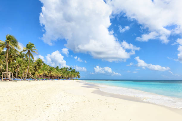 istock Vacation in Dominican Republic 920932508