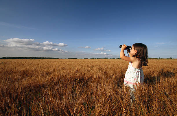 istock Little girl exploring through a wheat field 92093486