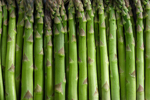 espargos de fundo - green asparagus imagens e fotografias de stock