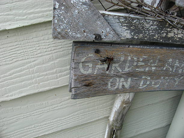 istock Wasp on old garden sign 92094470