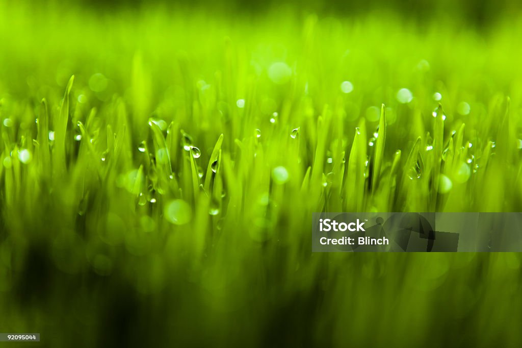 緑の芝生 - カラー画像のロイヤリティフリーストックフォト
