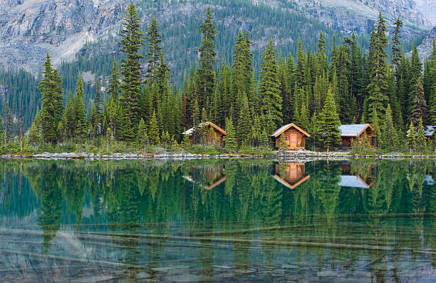 Cabins On Lake Water Reflection A row of cabins in the forest on the edge of a lake with a reflection in the water.  Natural beauty travel destination. yoho national park photos stock pictures, royalty-free photos & images