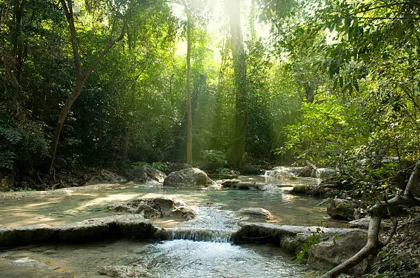 Photo of Sun shining onto a babbling brook in the forest