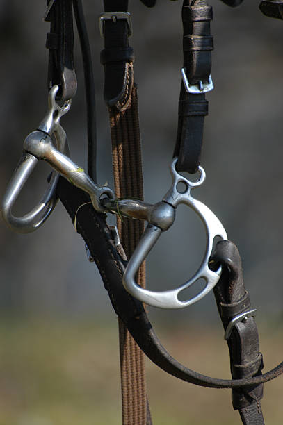istock Bridle - Horse equipment 92097316