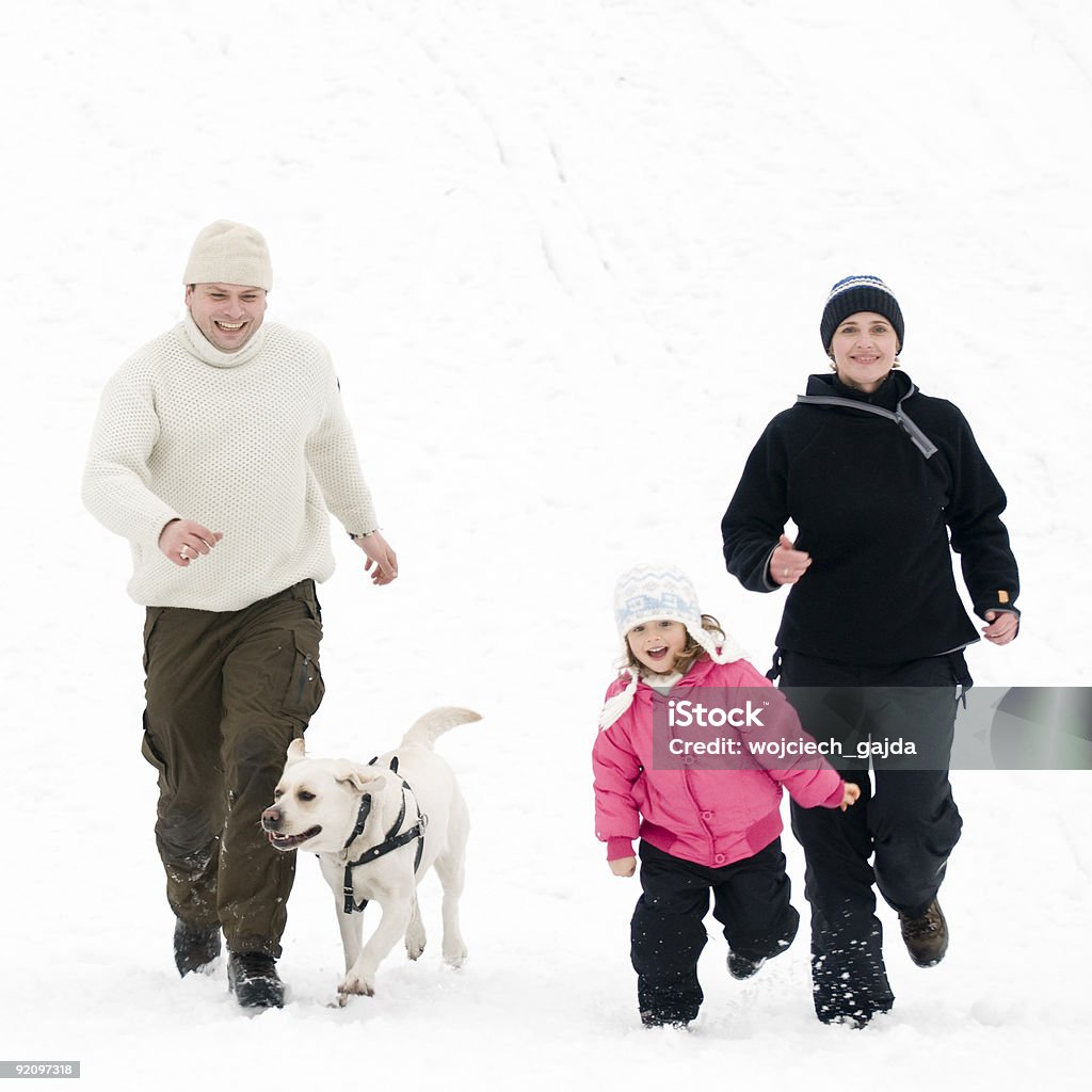 Winter spielen mit Hund - Lizenzfrei Eingefroren Stock-Foto
