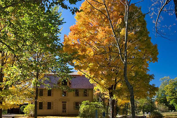 Fall in Concord, MA  concord massachusetts stock pictures, royalty-free photos & images