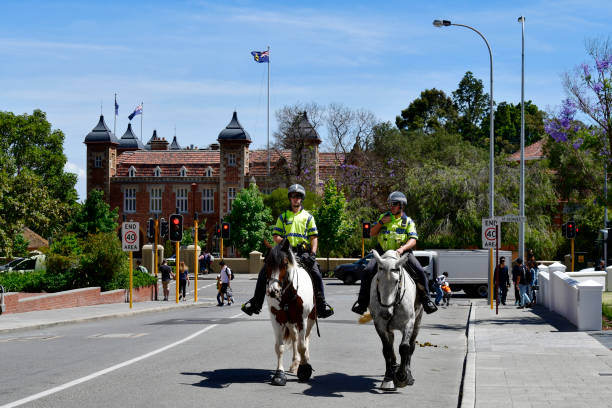 Horse and rider navigate a jump. Clipping path included.