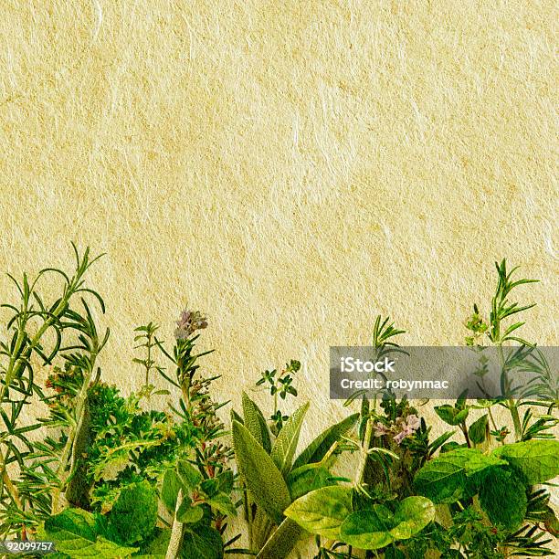 Grunge Plantas Aromáticas - Fotografias de stock e mais imagens de Alecrim - Alecrim, Antigo, Comida