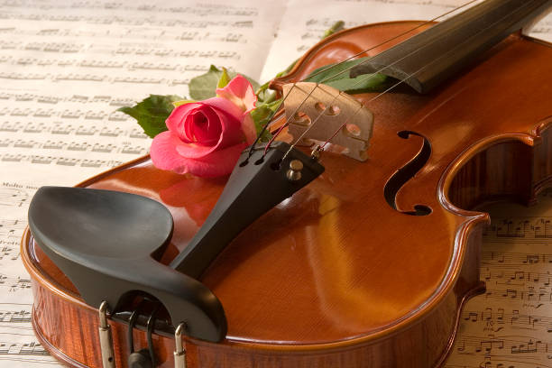 violino e rosa - violin equipment classical instrument light and shadow foto e immagini stock