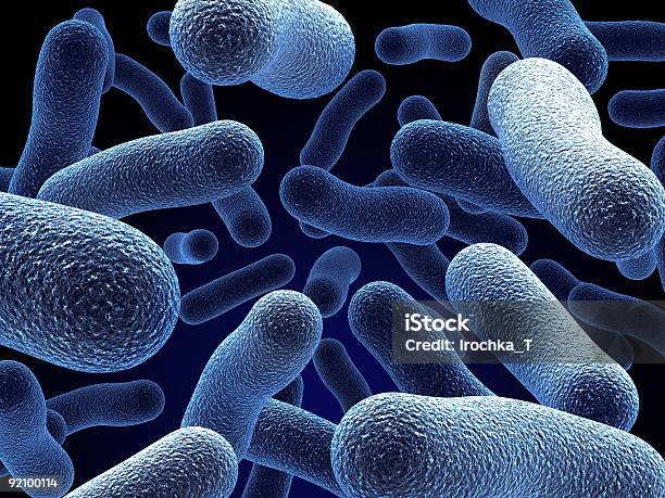 Бактерии — стоковые фотографии и другие картинки Анатомия - Анатомия, Бактерия, Без людей