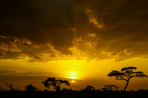 A gorgeous Malawian sunset, as seen from Mount Mulanje…