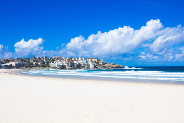 istock Holiday in Australia - Bondi Beach view with blue sky 921004044
