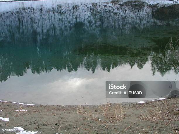 Lago - Fotografie stock e altre immagini di A mezz'aria - A mezz'aria, Adulto, Alberta