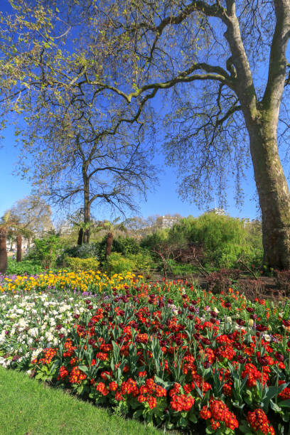 istock St James's Park in Westminster, London 921010178