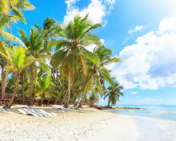 istock Vacation in Dominican Republic 921010180