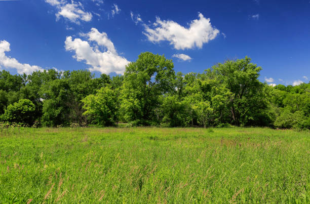 istock Cuyahoga Valley National Park, Ohio 921010238