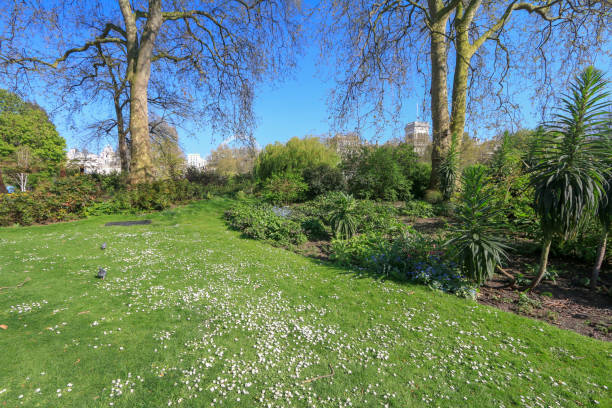 istock St James's Park in Westminster, London 921010248