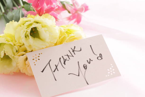 istock yellow color flower 921012588