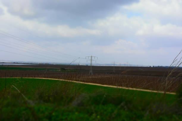 istock Green fields in the winter in Israel 921012594