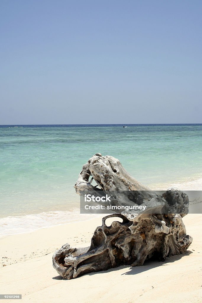 gnarley 로그인 하얀 모래 해변 - 로열티 프리 0명 스톡 사진